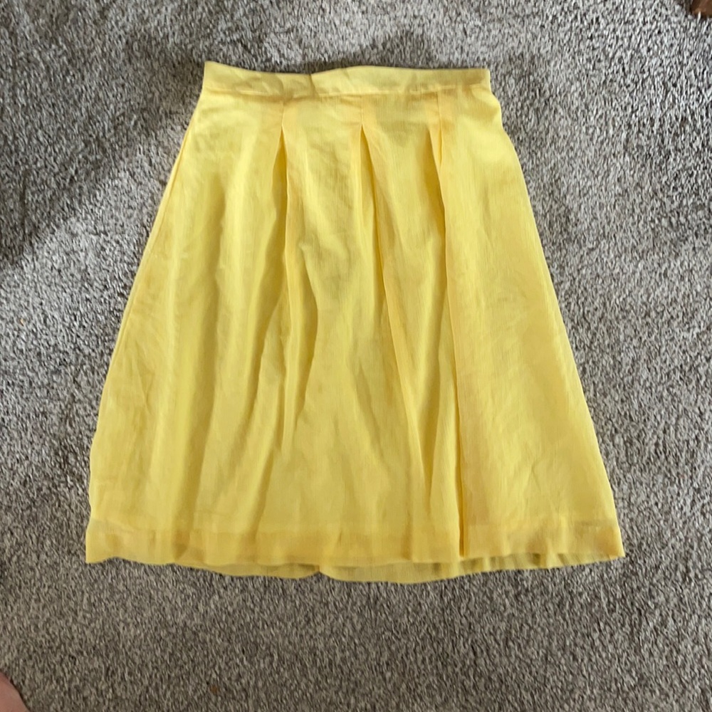 Ann Taylor skirt